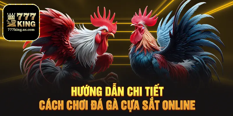 Hướng dẫn chi tiết cách chơi đá gà cựa sắt online