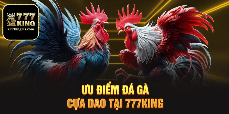 Ưu điểm đá gà cựa dao tại 777king